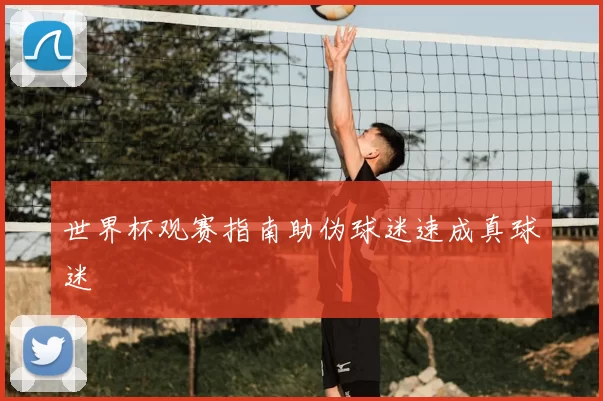 世界杯观赛指南助伪球迷速成真球迷