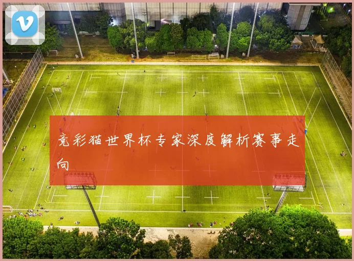 竞彩猫世界杯专家深度解析赛事走向