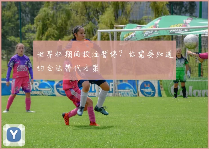 世界杯期间投注暂停？你需要知道的合法替代方案