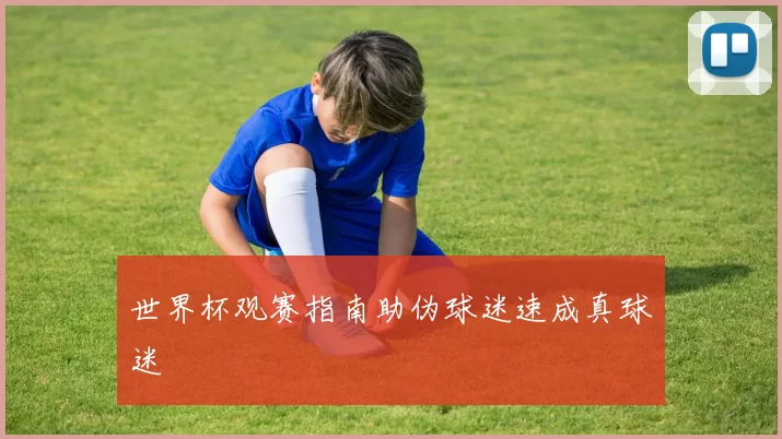 世界杯观赛指南助伪球迷速成真球迷