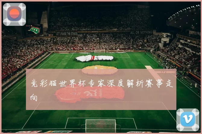竞彩猫世界杯专家深度解析赛事走向
