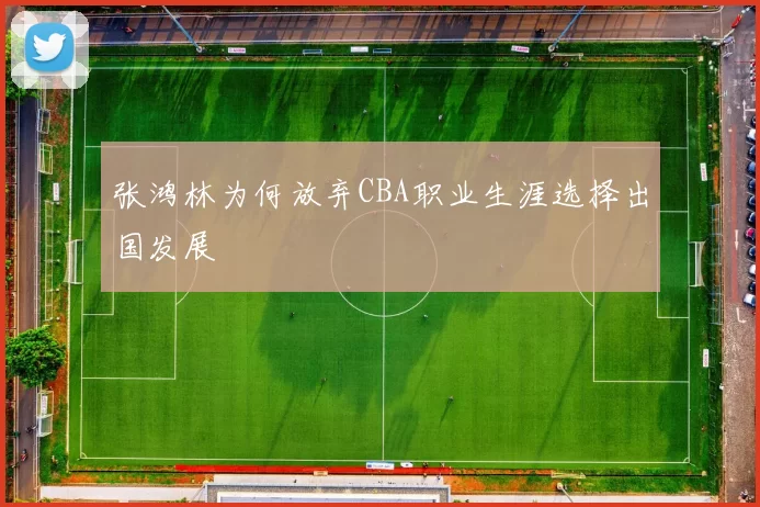 张鸿林为何放弃CBA职业生涯选择出国发展