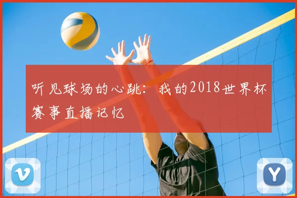 听见球场的心跳：我的2018世界杯赛事直播记忆