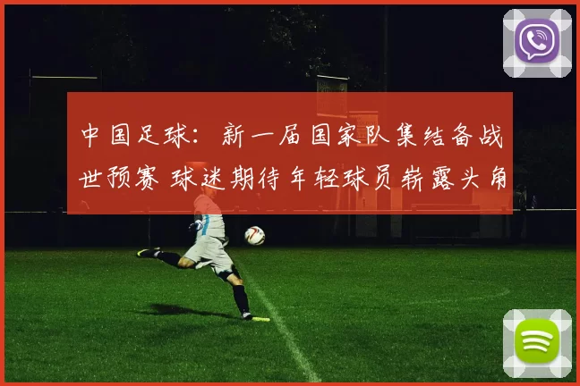 中国足球：新一届国家队集结备战世预赛 球迷期待年轻球员崭露头角