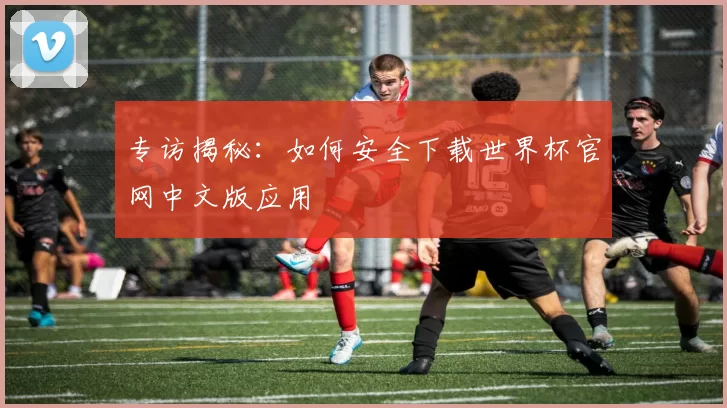 专访揭秘：如何安全下载世界杯官网中文版应用