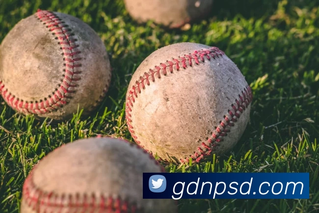 九游体育服务体系